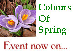save &pound;&pound;&pound; in our spring sale
